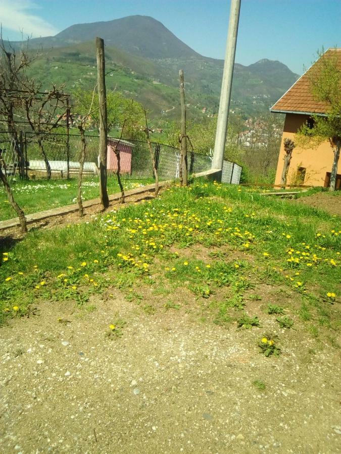 Smestaj Rakovic Pribojska Banja Екстер'єр фото